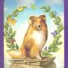 动物塔罗牌 Animal Tarot Cards-A 78-card Deck and Guidebook