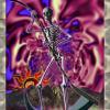 Cocktail_de_tarot