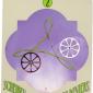 two-pentacles