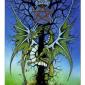 龙塔罗牌 /dragon Tarot