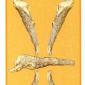 five-wands