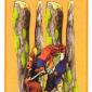 four-wands