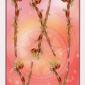 eight-wands