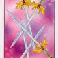 five-swords