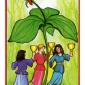 three-cups