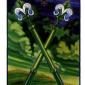 two-wands