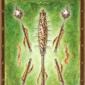 five-wands