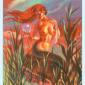 four-pentacles