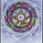 fortune-wheel