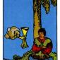 four-cups