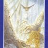变形塔罗牌 Shapeshifter Tarot
