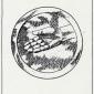 ace-pentacles