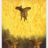 中国塔罗牌 China Tarot