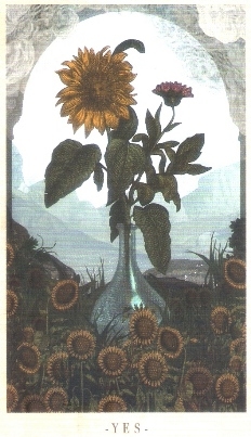 1125_44
