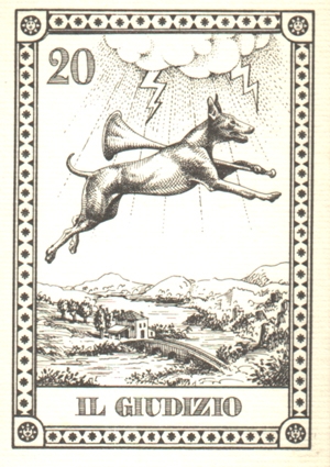 293_20