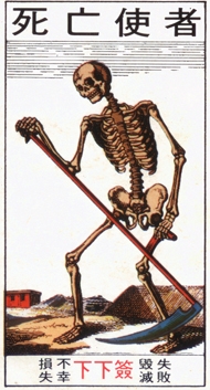 478_13