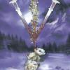 天启塔罗牌 APOKALYPSIS TAROT