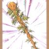 飞鸟塔罗牌 ASKA TAROT