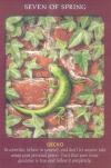 动物塔罗牌 Animal Tarot Cards-A 78-card Deck and Guidebook