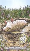 动物图腾塔罗牌 Animal Totem Tarot