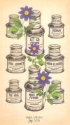 古典解剖塔罗牌 Antique Anatomy Tarot