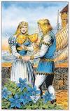 自然奥秘塔罗牌 Arcus Arcanum Tarot