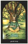 295_49