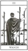 黑白塔罗牌 Bianco Nero Tarot