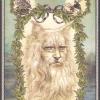 故事猫塔罗牌 CAT TAROT
