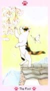 猫爪塔罗牌 Cat Paw Tarot
