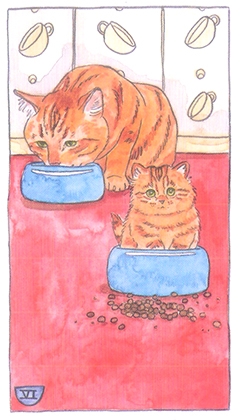 803_41