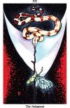 內在动物塔罗牌 Circle inner animal tarot
