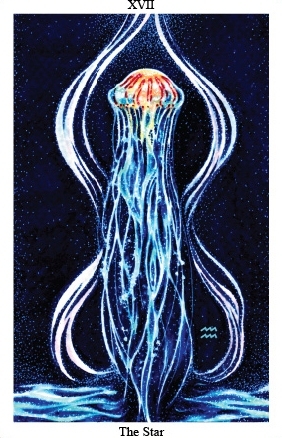 805_17