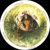 生命之轮塔罗牌 Circle of Life Tarot