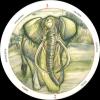 生命之轮塔罗牌 Circle of Life Tarot
