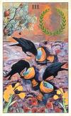 乌鸦塔罗牌 Crow Tarot
