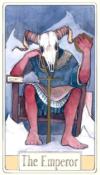 奇趣旅程塔罗牌 Curious Travels Tarot