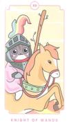 可爱大眼猫塔罗牌 Cute cat tarot