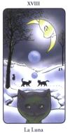 卡通猫塔罗牌 El tarot de los gatos
