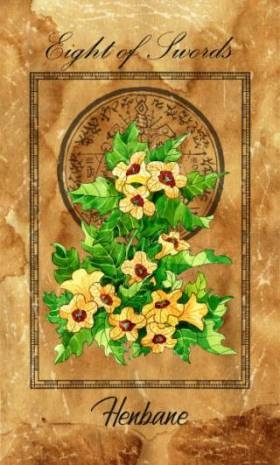 Eight of swords. Minor Arcana tarot card with Henbane and magic seal. Vintage deck Enchanted Flowers. Hand drawn illustration with botanical symbols. Gothic, occult and esoteric background