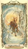 神奇生物塔罗牌 Fantastical Creatures Tarot