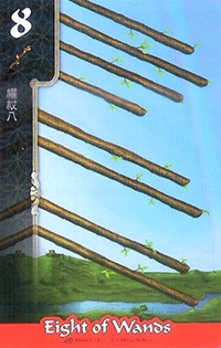 774_29