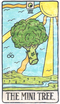 672_29