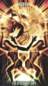 疗愈之光塔罗牌 Healing Light Tarot