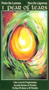 传奇塔罗牌 I am one tarot
