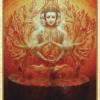 观音神谕卡 Kuan Yin Oracle