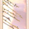 清醒梦塔罗牌(二版) Lucid Dreams Beginners Tarot Deck Ed II