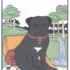 巴哥狗塔罗牌 MOPS TAROT