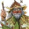 树塔罗牌 Madru-Das Baum-tarot