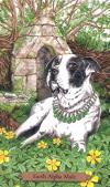 768_77